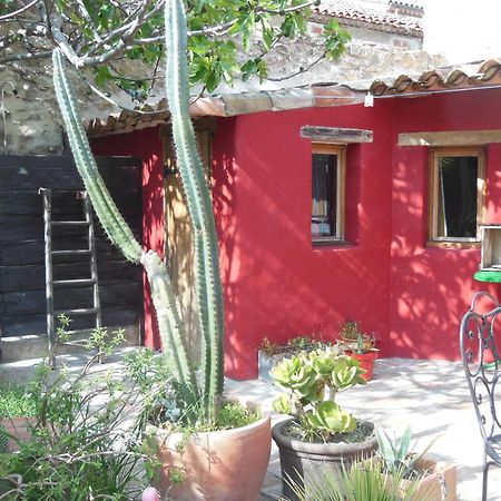 Maison Dans Jardin Villeseque-des-Corbieres Esterno foto
